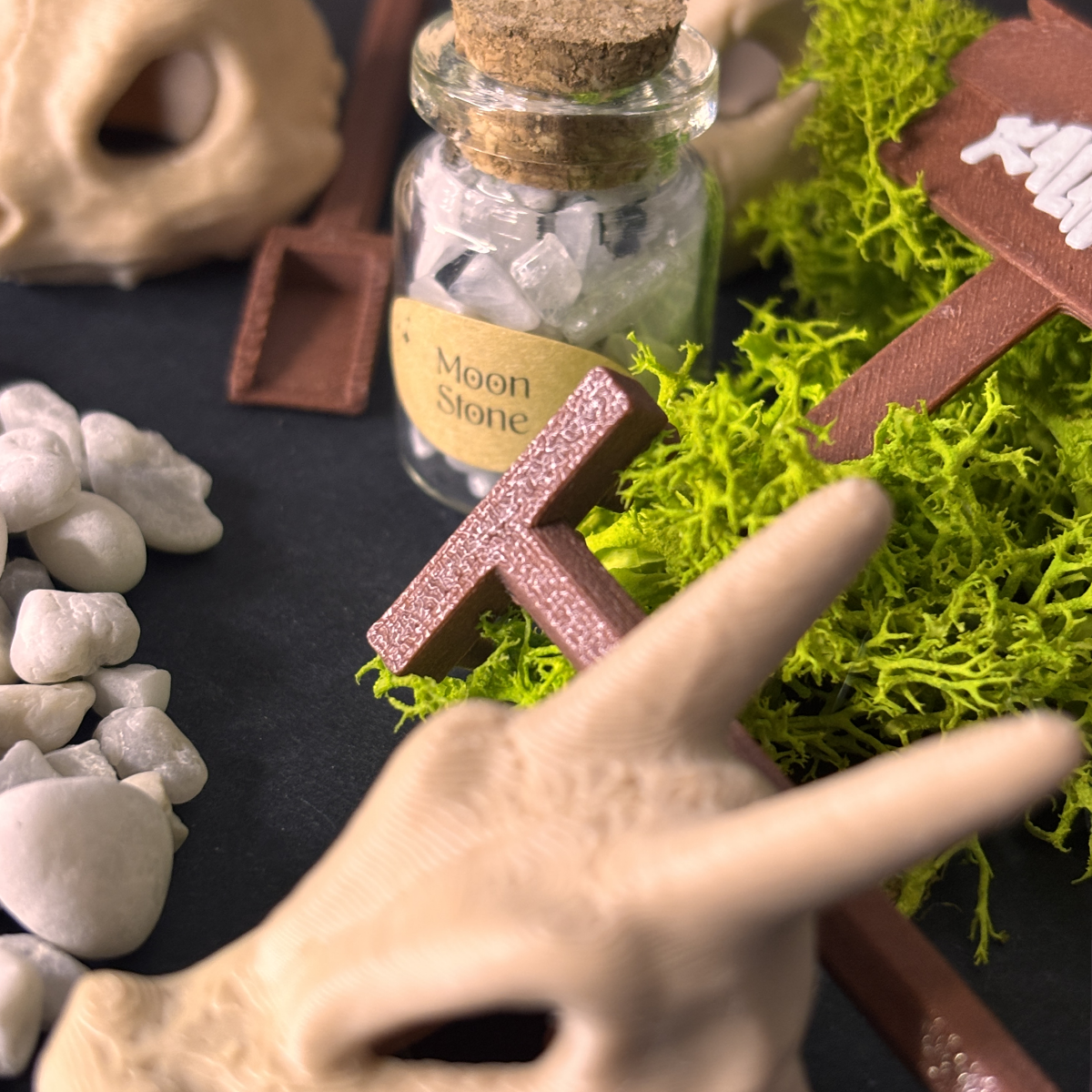 Kit Ekosistema - INICIALES