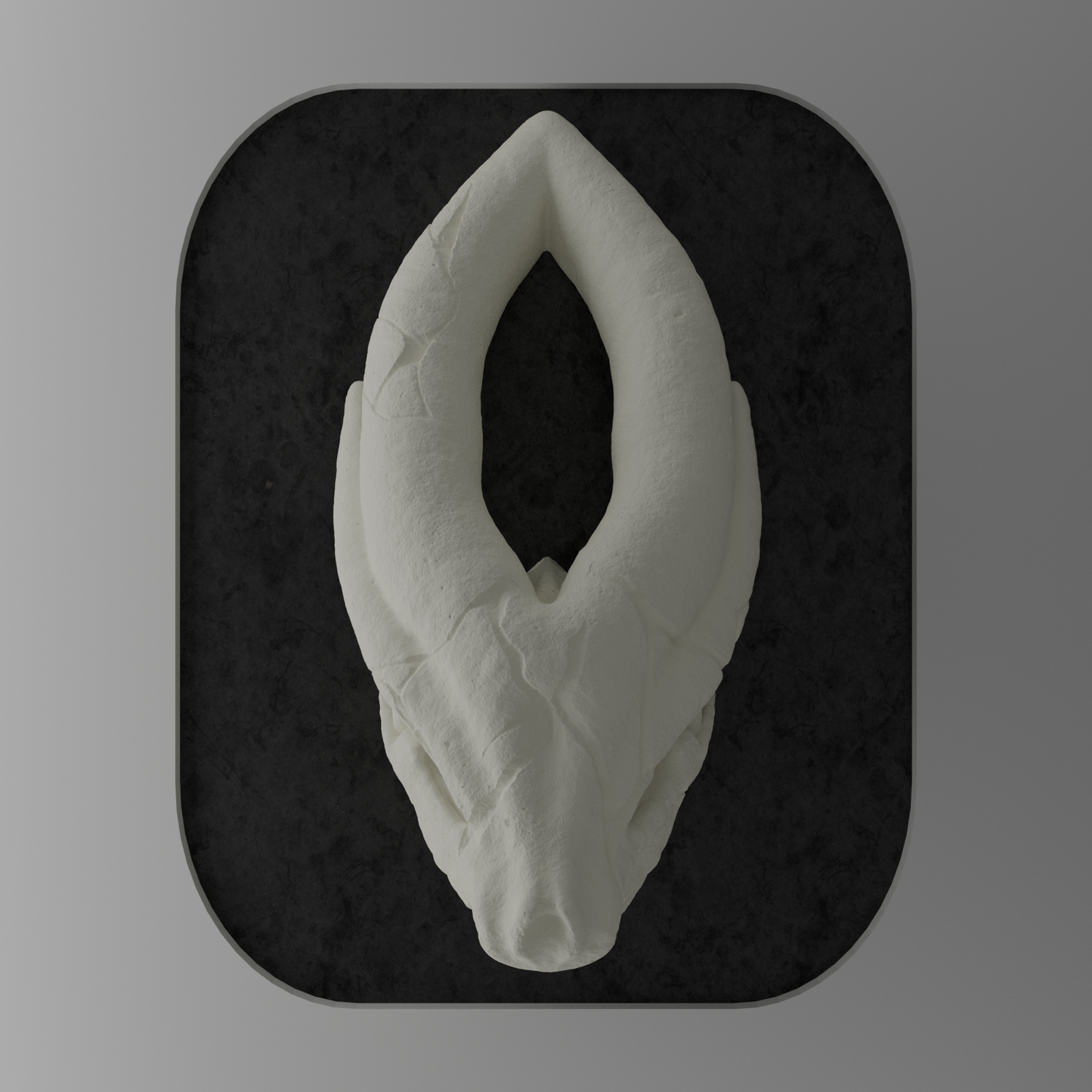 KRÁNEO SUICUNE + MARKO