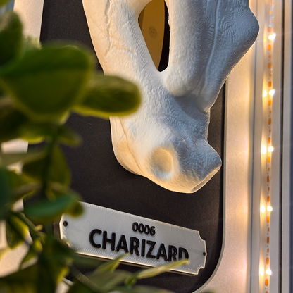 KRÁNEO CHARIZARD + MARKO