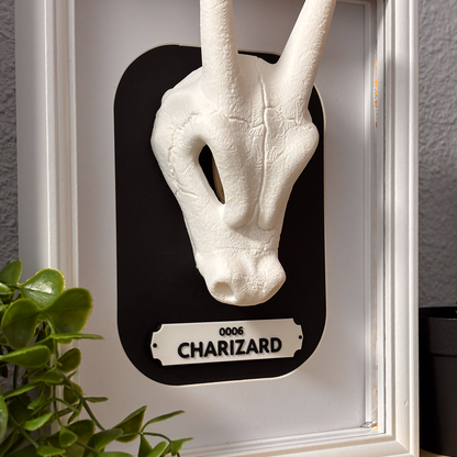 KRÁNEO CHARIZARD + MARKO