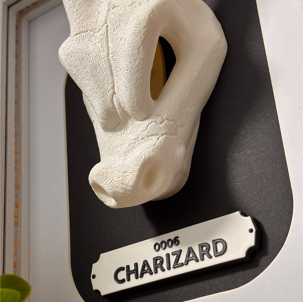 KRÁNEO CHARIZARD + MARKO