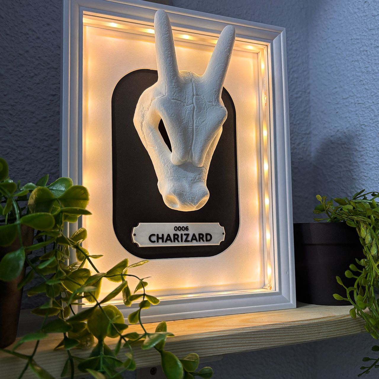 KRÁNEO CHARIZARD + MARKO