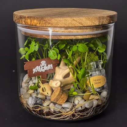 Kit Ekosistema - INICIALES