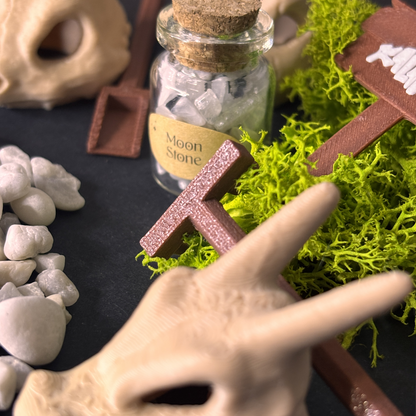 Kit Ekosistema - INICIALES