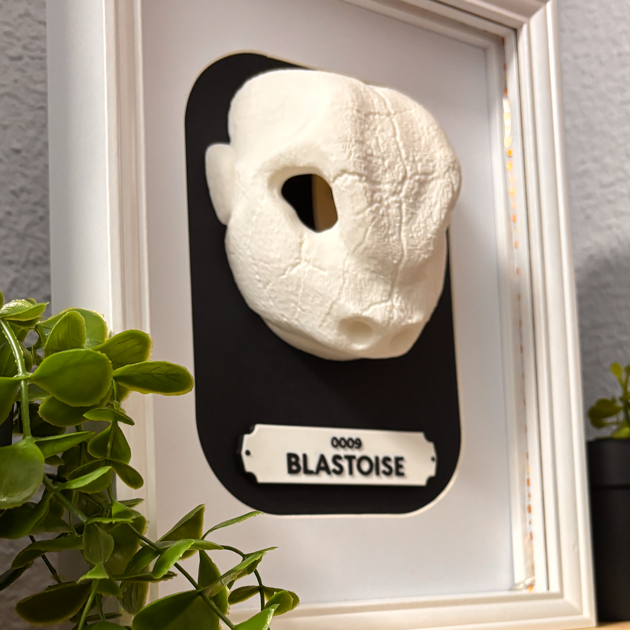 KRÁNEO BLASTOISE + MARKO