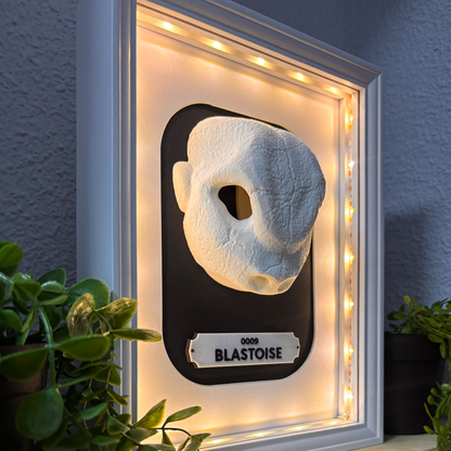 KRÁNEO BLASTOISE + MARKO