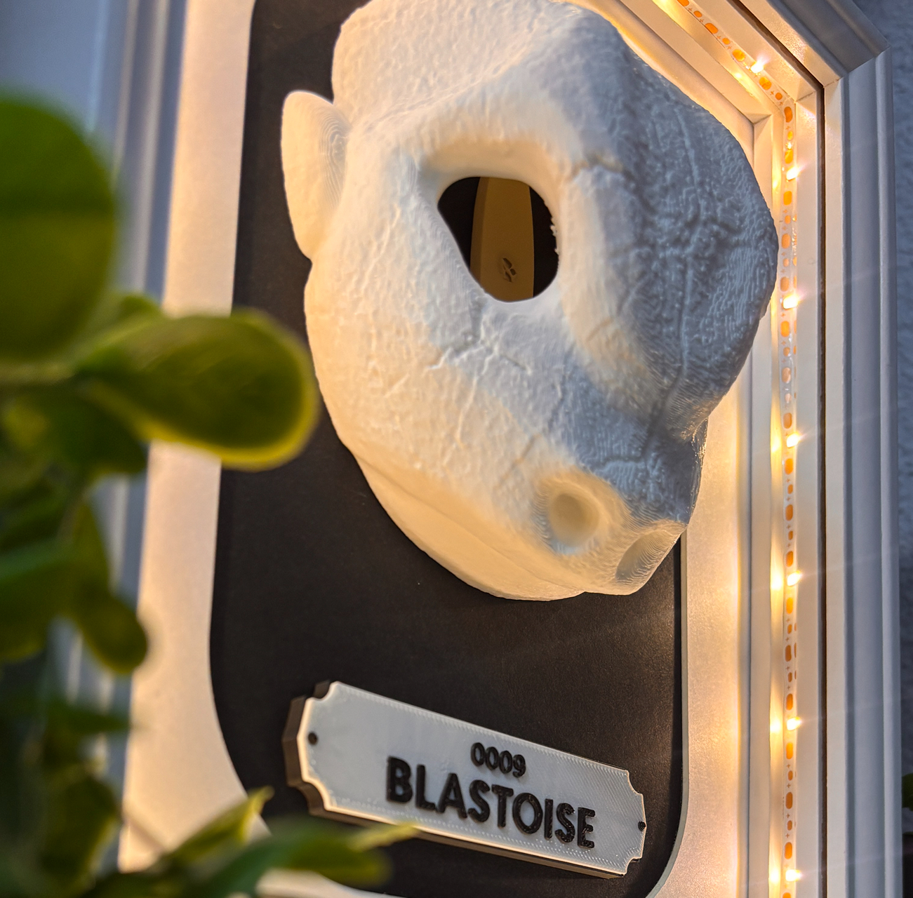 KRÁNEO BLASTOISE + MARKO