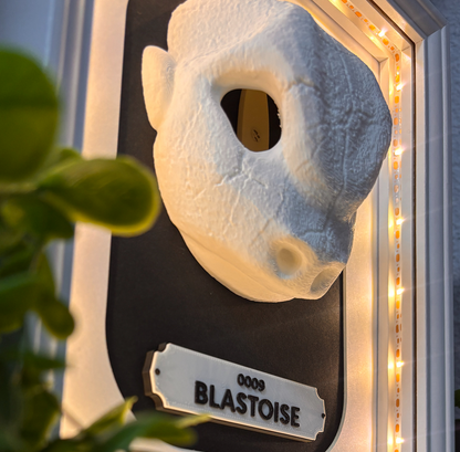 KRÁNEO BLASTOISE + MARKO