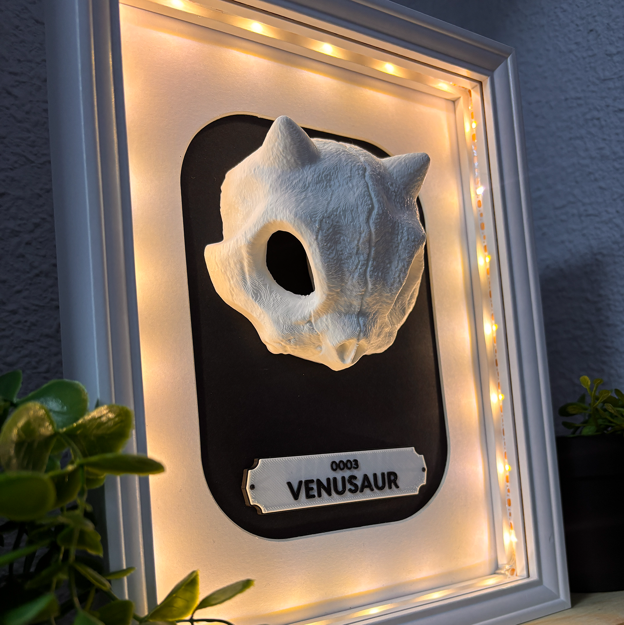 KRÁNEO VENASAUR + MARKO