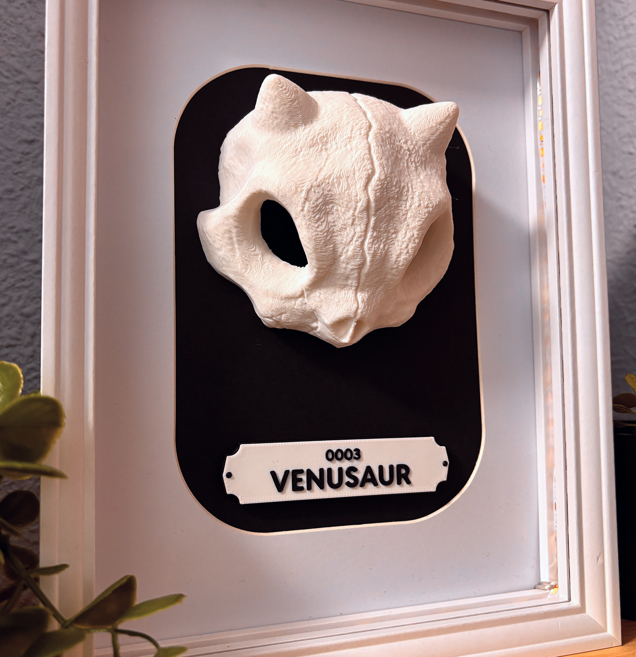 KRÁNEO VENASAUR + MARKO