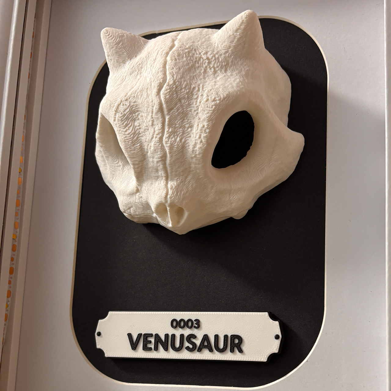 KRÁNEO VENASAUR + MARKO