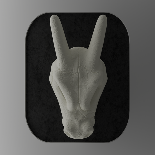 KRÁNEO CHARIZARD + MARKO