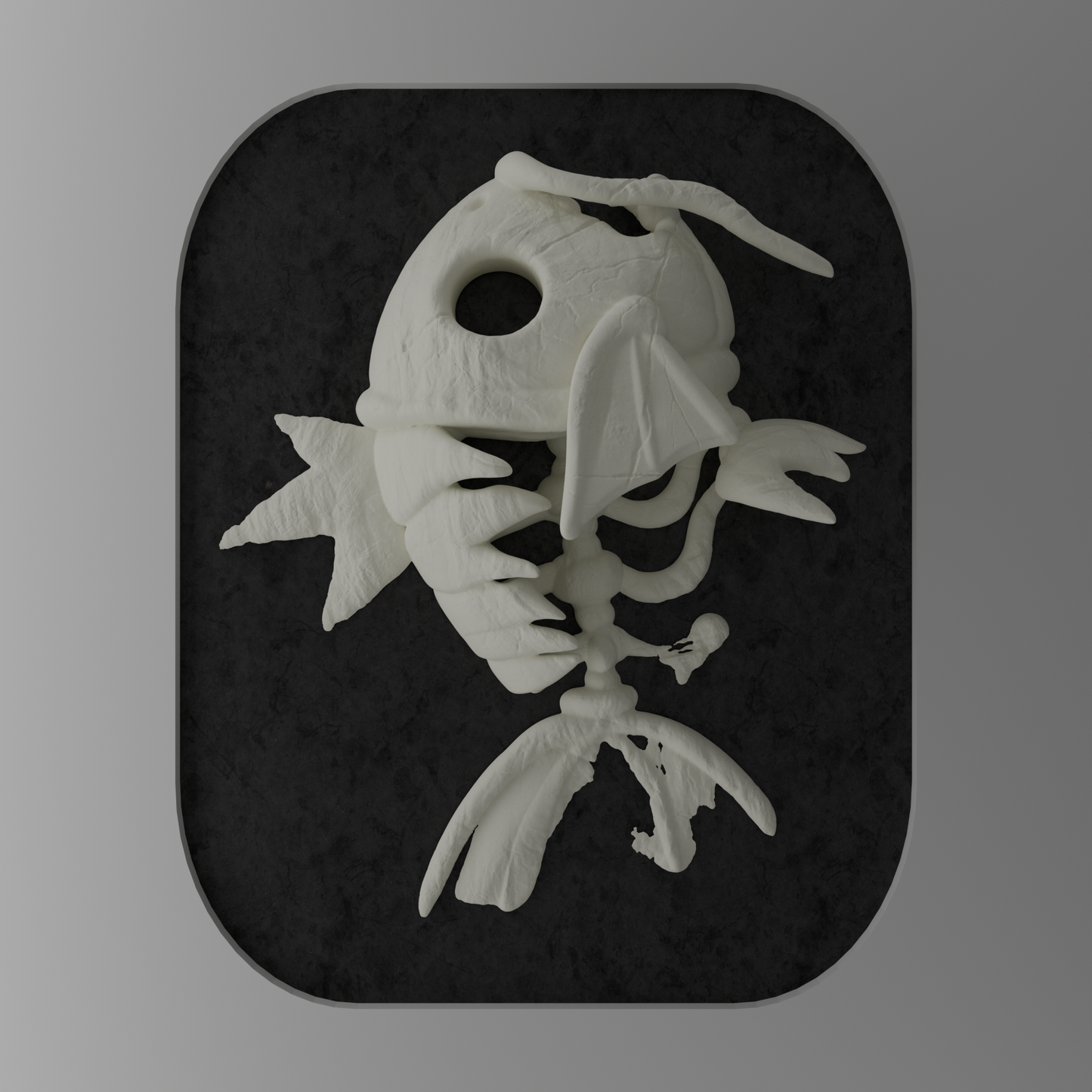 KRÁNEO MAGIKARP + MARKO (Copia)